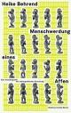 Cover: Menschwerdung eines Affen